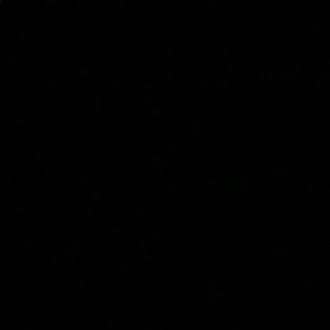 Meet your Posher, Elk